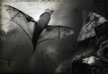   fantasy scene where batwinged sharks roam about sunken ships hungry murenas... bat-winged bat winged murenas  